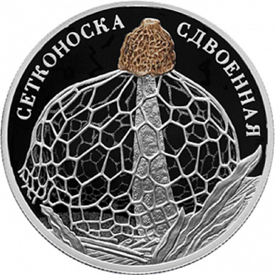 Сетконоска сдвоенная 2 рубля 2022, СПМД 1/2 oz